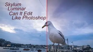 Luminar Or Photoshop Cheaper Photo Editing Software Review.