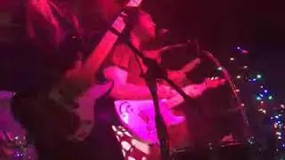 Undercover Bear - Go Dog Go @ The Whisk(e)y