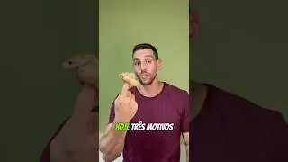 Porque ter uma Python ball?! #snake #pets #reptiles #lizard #viralvideo