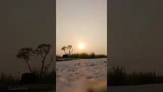 Whatsapp status short vedio #sonunigam#sunset#sadstatus#upsc#jeemain#motivation
