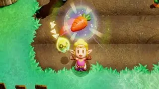 Carrot Location - The Legend of Zelda Echoes of Wisdom