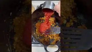 Hungarian Chicken Paprikash Dish 🇭🇺