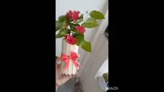 Making a easy and beautiful flower pot 🌺 #flowerpot #craft
