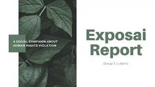 Human Rights Violation Campaign | Exposai Report