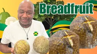 How to Ripen & Roast Breadfruit in the Oven