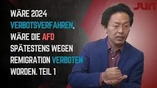Wäre 2024 Verbotsverfahren, wäre die AfD spätestens wegen Remigration verboten worden. Teil 1