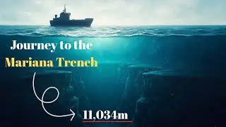 What Lies 11,000 Meters Deep? The Exploration of the Mariana Trench