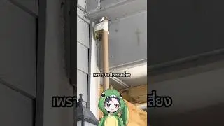 ต่อร่วงน้ำมัน | TOGE トゲ