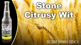 Stone Brewing Stone Citrusy Wit - Beer Bros And The White Beers