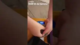 Desk on da hamster (official vid)