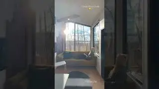Off grid tiny house getaway in Alberta 🇨🇦