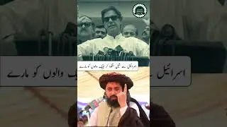 Hafiz Saad Hussain Rizvi exposed Imran khan | #shorts #tlp