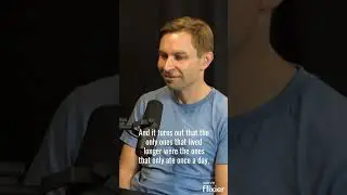 David Sinclair On The Best Diet
