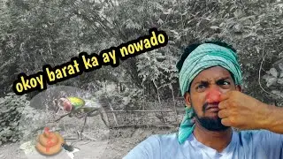 Okoya barat ka ay nowa do .