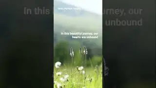 God's perfect timing
