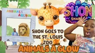 Shon Shares: Animals Aglow at the St. Louis Zoo