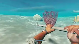Stranded Deep &ndash; Season 3 Day 5: Island Expansion & Shark Trouble!