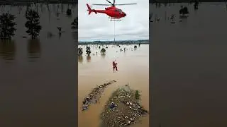 Helicopter Hero || Rescue man Saves Fawn Trapped in Flooded River #animals  #fawn #deer #wildlife