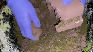 Sahara w/ frozen leftovers