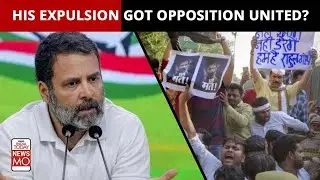 Has Rahul Gandhi's Disqualification As MP United Opposition Parties? | NewsMo