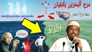Labada Badood Ee Qur'aanka Lagu Sheegay Siday Ku Kul-Maan? {Mucjisooyinka Quranka} | Sheikh Mustafe