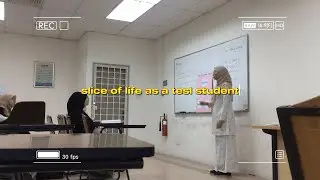 slice of life as a tesl student | part 2