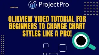 Qlikview Video Tutorial for Beginners to Change Chart Styles like a Pro!
