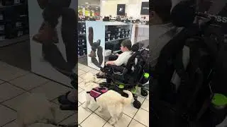 Sally go home (8 mo old custom program) - service dog in training