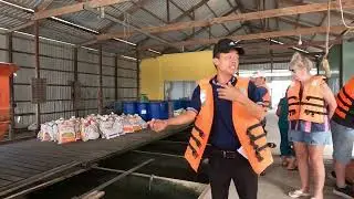 Floating Fish Farm in Vietnam - Near the Cambodian Border -Victoria Mekong River Cruise January 2025