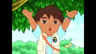 Diego Saves Mommy and Baby Sloth Animal End Song