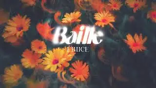 ERIICE - BAILLE