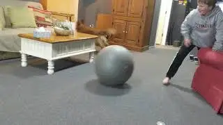 Leo dodge ball