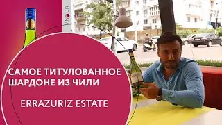 Обзор вина Шардоне Errazuriz Estate за минуту, с чем пьем