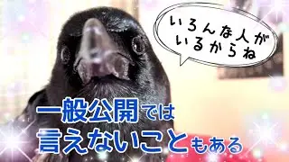 一般公開では言えないこともあるんです…2022/5/23撮影KUPPI the Crow