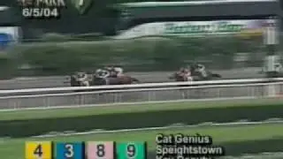 True North Handicap - Speightstown 