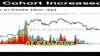 #10 The Invest and Hodl Strategy  Insights from Glassnode Research