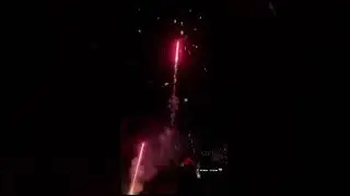 2024-ж., 11-Бирдин айы