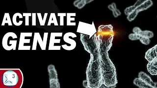 How Epigenetics Helps Us To Cure Diseases