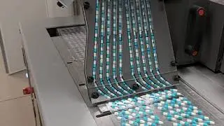 FAT on Elizabeth test bench Steady track feeder 2