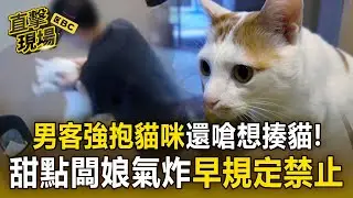 男客無視店規「強抱貓咪」還嗆想揍貓！甜點闆娘氣炸「早規定禁止」！【直擊現場】