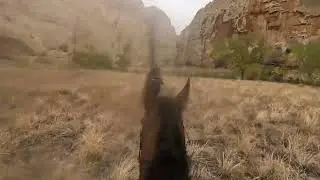 Escalante River