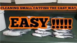 HOW TO CLEAN SMALL CATFISH THE EASY WAY!!!!