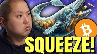 Bitcoin Whales DEVOUR Exchange Supply (Squeeze Incoming!)