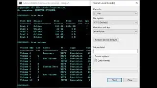 Customized Disk Partitions in Command Prompt Tutorial (Allign, Allocation Size, Table Type)