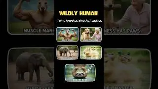 Top 5 Animals That Act So Human Like😂!