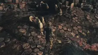 Top Tier Beast Cutter Play... Bloodborne Meta Duals, PvP