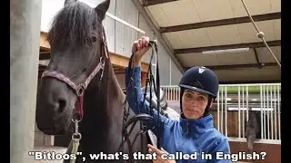 First time ever riding bitless. With Uniek the Friesian horse.