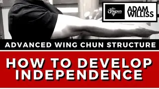 How to Develop Advanced Wing Chun Structure without Wasting Years!