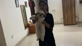 Chandigarh Ki zindagi | Tanvi Sharma #chandigarh
