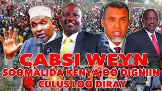 'HALIS WAYN OO KU WAJAHAN SOMALIDA KENYA' | DIGNIIN CULUS OO LOO DIRAY